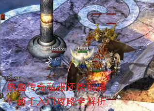 ��Ѫ����˽�����������������Ź���ȫ����