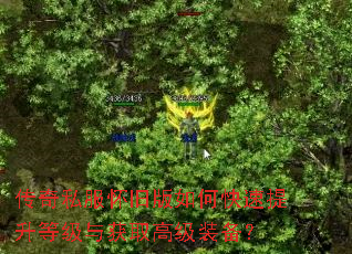 传奇私服怀旧版如何快速提升等级与获取高级装备? 传奇私服怀旧版如何快速提升等级与获取高级装备?