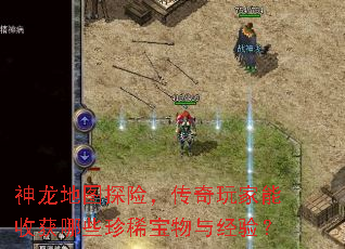 神龙地图探险,传奇玩家能收获哪些珍稀宝物与经验? 神龙地图探险,传奇玩家能收获哪些珍稀宝物与经验?