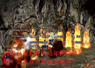 ����˽���¿���վ��ο���������װ����ȡ��������Щ��
