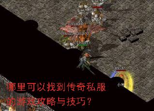 哪里可以找到传奇私服的游戏攻略与技巧? 哪里可以找到传奇私服的游戏攻略与技巧?