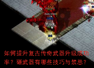 ����������Ŵ������������ɹ��ʣ�����������Щ��������ɣ�