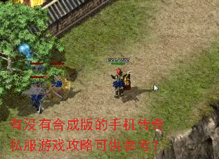 有没有合成版的手机传奇私服游戏攻略可供参考? 有没有合成版的手机传奇私服游戏攻略可供参考?