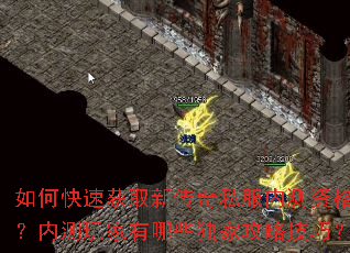 如何快速获取新传奇私服内测资格?内测玩家有哪些独家攻略技巧? 如何快速获取新传奇私服内测资格?内测玩家有哪些独家攻略技巧?
