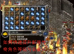 如何快速提升新服传奇角色等级与装备? 如何快速提升新服传奇角色等级与装备?