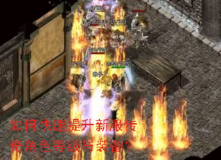 如何快速提升新服传奇角色等级与装备? 如何快速提升新服传奇角色等级与装备?