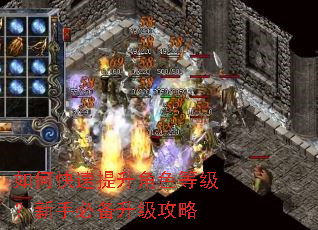 如何快速提升角色等级?新手必备升级攻略 如何快速提升角色等级?新手必备升级攻略