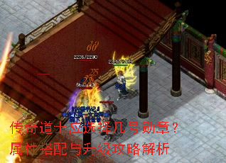 �����ʿӦѡ�񼸺�ѫ�£����Դ������������Խ���