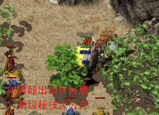 如何酿出绝世好酒?顶级秘技大公开 如何酿出绝世好酒?顶级秘技大公开