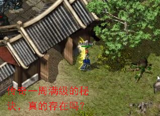 传奇一周满级的秘诀,真的存在吗? 传奇一周满级的秘诀,真的存在吗?