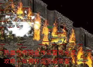 ��Ѫ�������˵���κϳɹ��ԣ���δ��춥��װ����