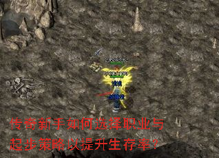 传奇新手如何选择职业与起步策略以提升生存率? 传奇新手如何选择职业与起步策略以提升生存率?