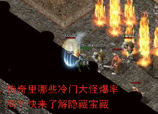 ��������Щ���Ŵ�ֱ��ʸߣ������˽����ر���