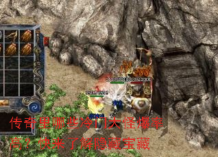 ��������Щ���Ŵ�ֱ��ʸߣ������˽����ر���
