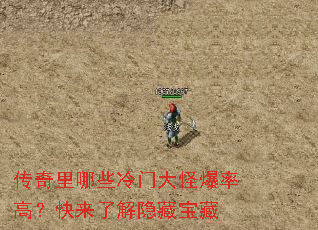 ��������Щ���Ŵ�ֱ��ʸߣ������˽����ر���