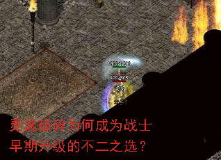 �������Ϊ�γ�Ϊսʿ���������Ĳ���֮ѡ��