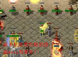 ������ҳ����Ե�����boss����Щ��