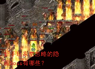 ������ҳ����Ե�����boss����Щ��