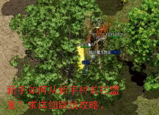 新手如何从新手村前往盟重?求详细路线攻略。 新手如何从新手村前往盟重?求详细路线攻略。
