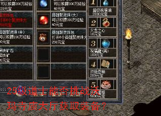 25����ʿ�ܷ���ս��������������ȡװ����
