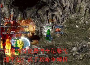 ���ѡ����Ѵ���˽������ƽ̨�����ֹ���ȫ����