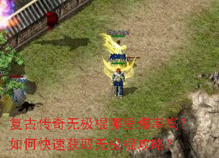 ���Ŵ����޼������ﱬ�ʸߣ���ο��ٻ�ȡ�޼������ԣ�