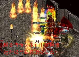 超变传奇私服新手如何快速升级与获取顶级装备? 超变传奇私服新手如何快速升级与获取顶级装备?