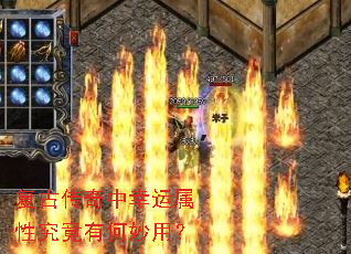 ���Ŵ������������Ծ����к����ã�