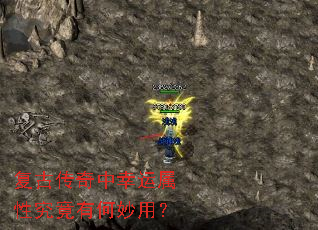 ���Ŵ������������Ծ����к����ã�