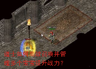 道士如何高效召唤并管理多个宝宝提升战力? 道士如何高效召唤并管理多个宝宝提升战力?