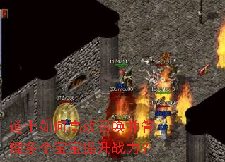 道士如何高效召唤并管理多个宝宝提升战力? 道士如何高效召唤并管理多个宝宝提升战力?