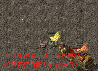 如何快速提升合击技能等级?新服开荒有哪些必备技巧? 如何快速提升合击技能等级?新服开荒有哪些必备技巧?