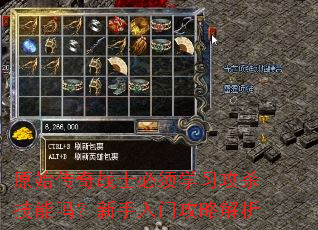 ԭʼ����սʿ����ѧϰ��ɱ�������������Ź��Խ���