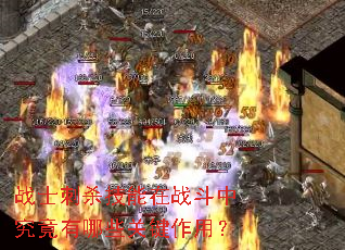 战士刺杀技能在战斗中究竟有哪些关键作用? 战士刺杀技能在战斗中究竟有哪些关键作用?