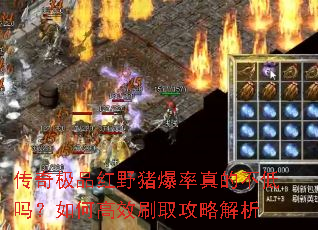 传奇极品红野猪爆率真的不低吗?如何高效刷取攻略解析 传奇极品红野猪爆率真的不低吗?如何高效刷取攻略解析
