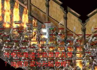 传奇私服道士勋章是几号?如何获取与升级攻略? 传奇私服道士勋章是几号?如何获取与升级攻略?