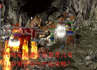 传奇私服道士勋章是几号?如何获取与升级攻略? 传奇私服道士勋章是几号?如何获取与升级攻略?